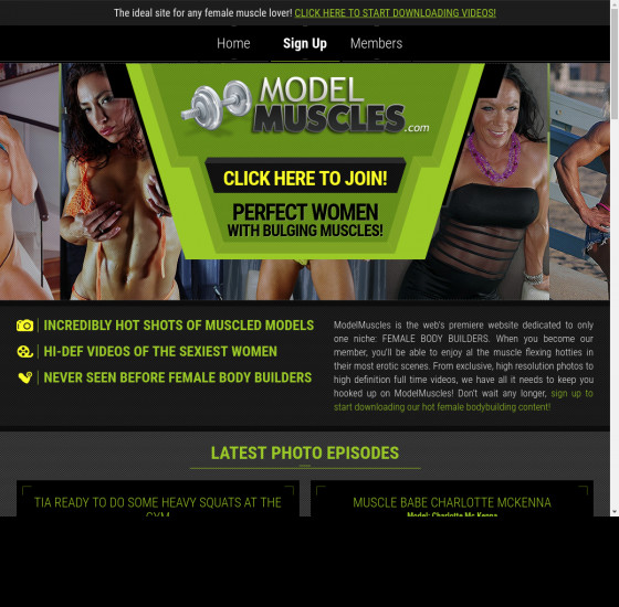 model muscles