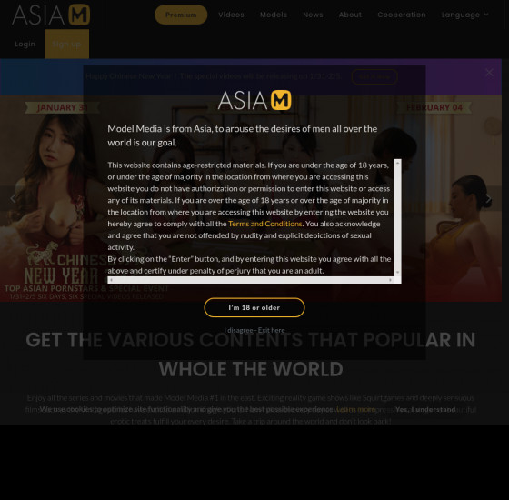 model media asia