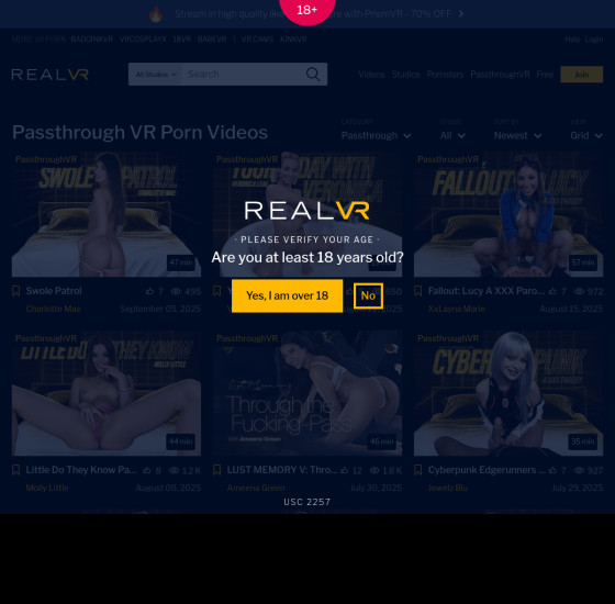 passthrough vr